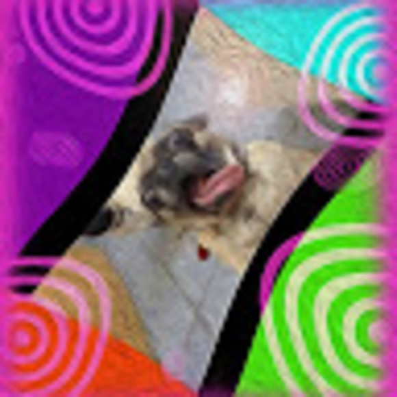 Meet your Posher, Jordyn - Picture 1 of 1